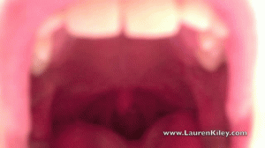 Tour Inside Laurens Warm Wet Mouth